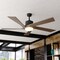 Vaxcel Wedgewood Black Indoor-Outdoor 60-in. DC Ceiling Fan LED Included Light Kit and Remote F0120 - alternate 2